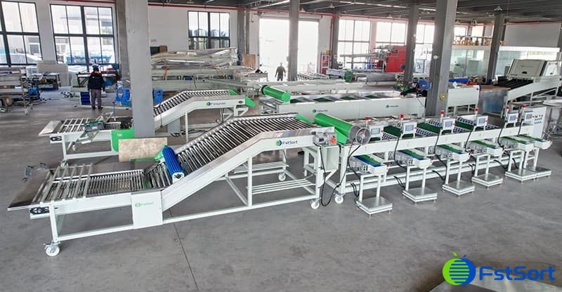 garlic sorting grading machine.jpg garlic sorting grading machine.jpg